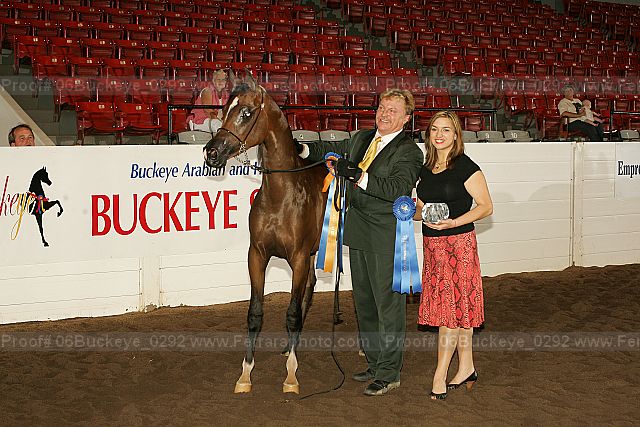 Proof 06buckeye_0292