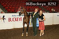 06buckeye_0292 proof