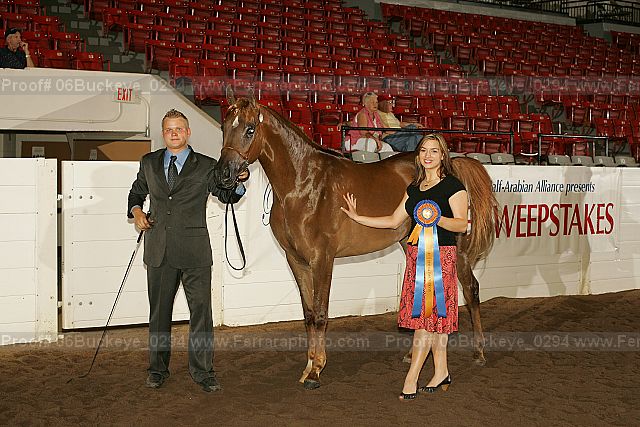 Proof 06buckeye_0294