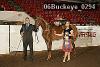06buckeye_0294 proof