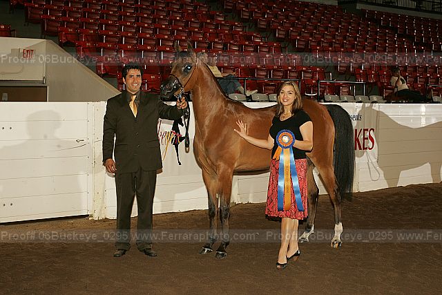 Proof 06buckeye_0295