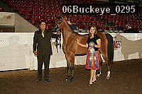 06buckeye_0295 proof