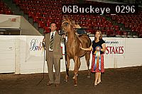 06buckeye_0296 proof