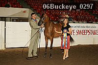 06buckeye_0297 proof
