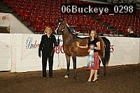 06buckeye_0298 proof
