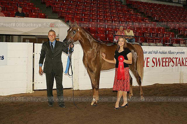 Proof 06buckeye_0299
