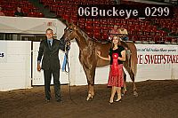 06buckeye_0299 proof