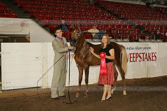 Proof 06buckeye_0301