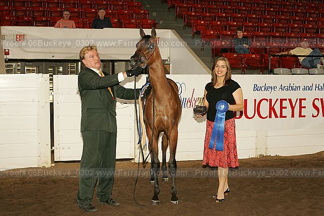 Proof 06buckeye_0302