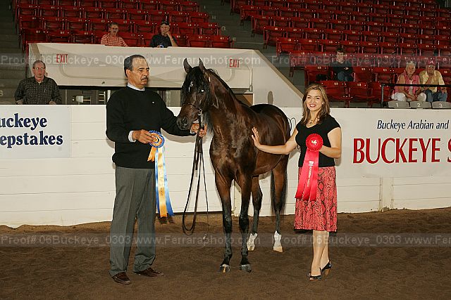Proof 06buckeye_0303