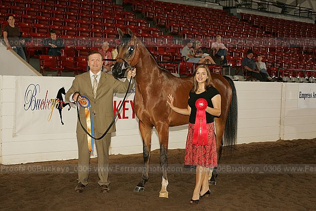 Proof 06buckeye_0306