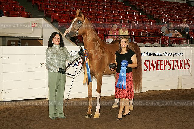 Proof 06buckeye_0307