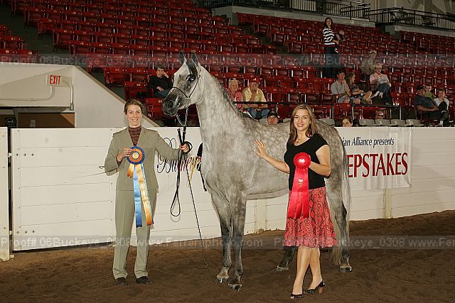 Proof 06buckeye_0308
