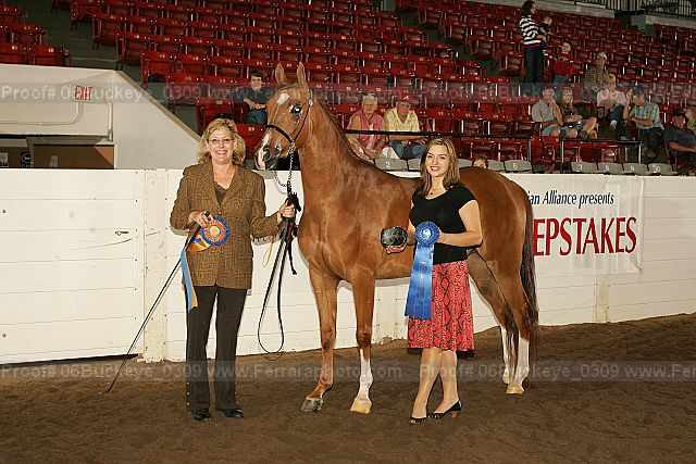 Proof 06buckeye_0309