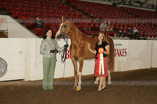 Proof 06buckeye_0310