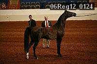 06reg12_0124 proof
