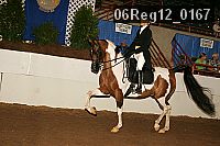 06reg12_0167 proof