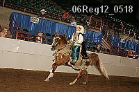 06reg12_0518 proof