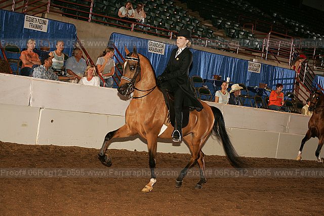 Proof 06reg12_0595