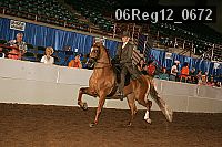 06reg12_0672 proof