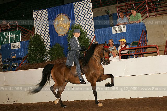 Proof 06reg12_0691