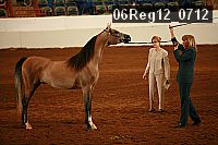 06reg12_0712 proof