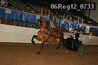 06reg12_0733 proof