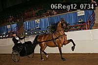 06reg12_0734 proof