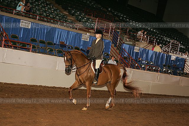 Proof 06reg12_0759