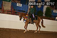 06reg12_0797 proof