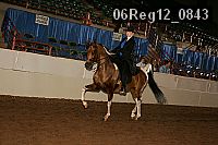 06reg12_0843 proof