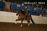 06reg12_0844 proof