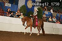 06reg12_1750 proof