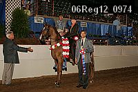 06reg12_0974 proof