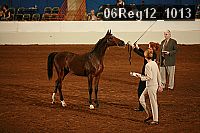 06reg12_1013 proof