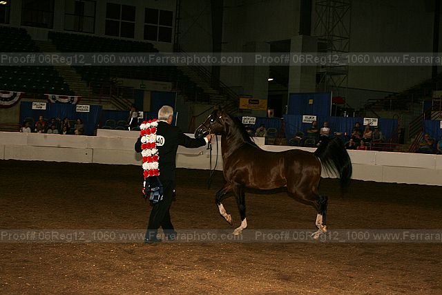 Proof 06reg12_1060
