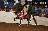06reg12_1813 proof