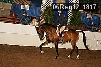06reg12_1817 proof