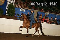 06reg12_1540 proof