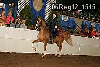 06reg12_1545 proof