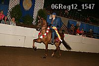 06reg12_1547 proof