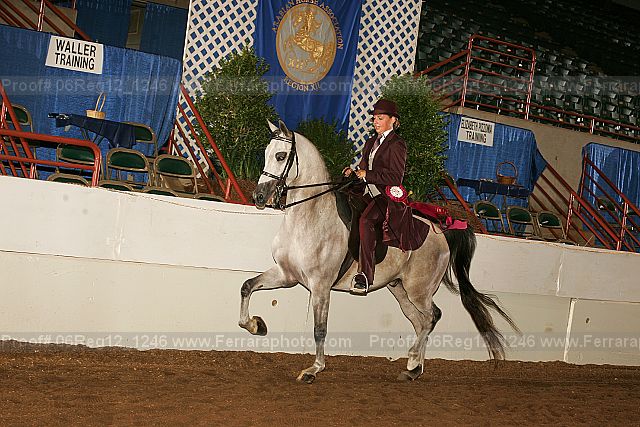 Proof 06reg12_1246