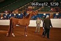 06reg12_1250 proof