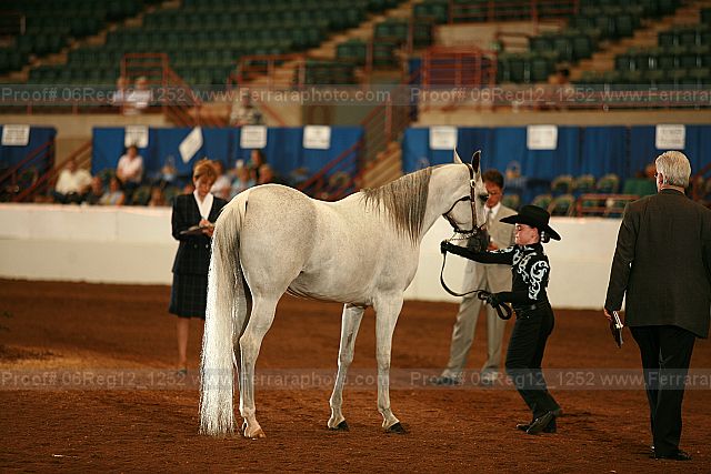 Proof 06reg12_1252