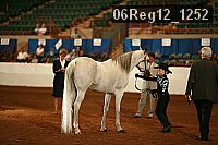 06reg12_1252 proof