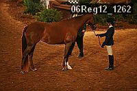 06reg12_1262 proof