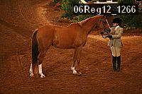 06reg12_1266 proof