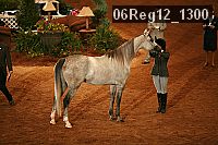 06reg12_1300 proof