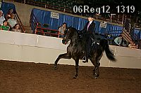 06reg12_1319 proof