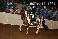 06reg12_1334 proof